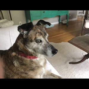 Meet your Posher, Jerry